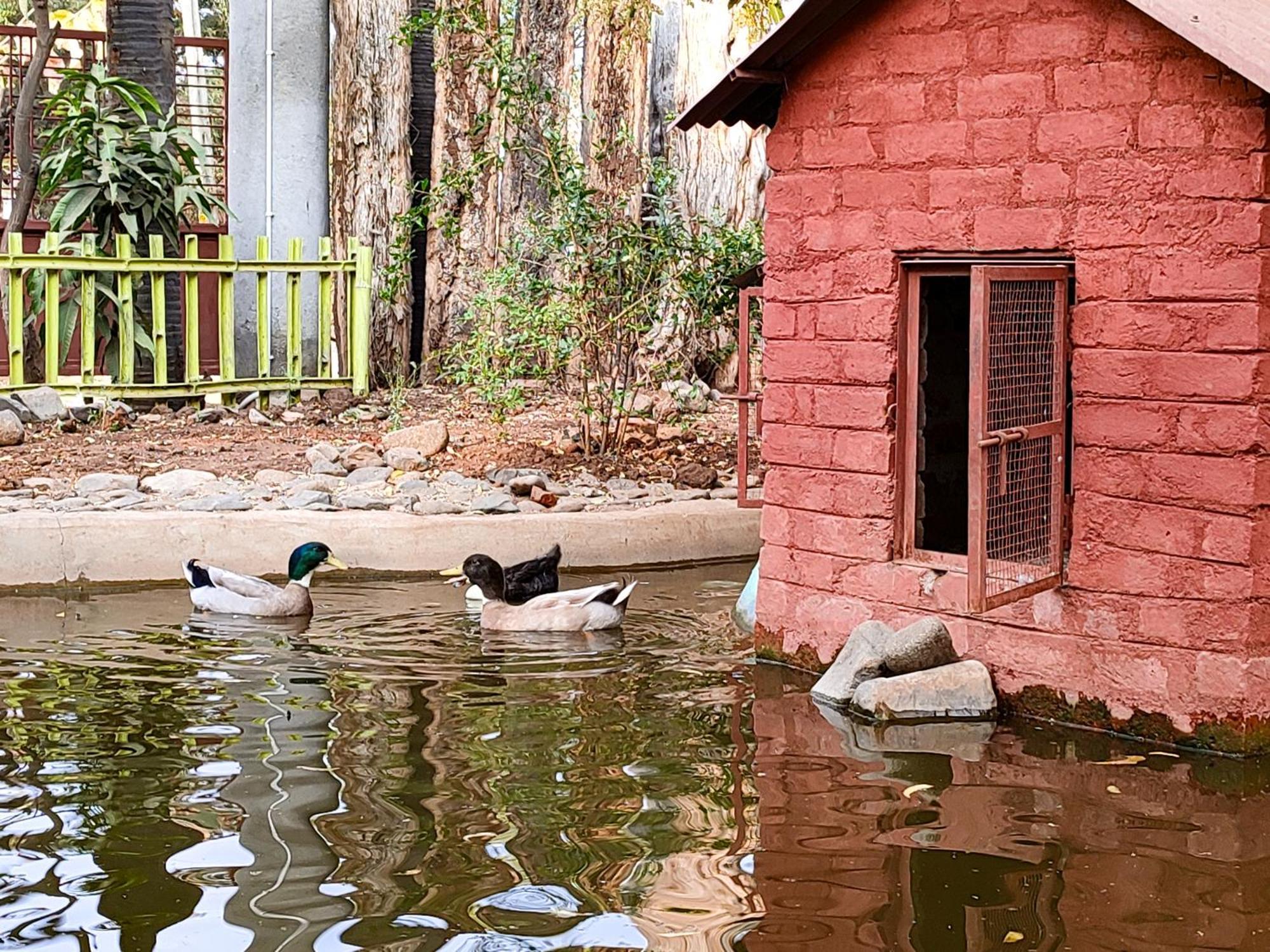 Van Vagdo Resort Rajpipla Экстерьер фото